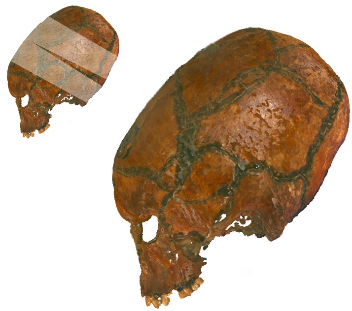 Fig 6