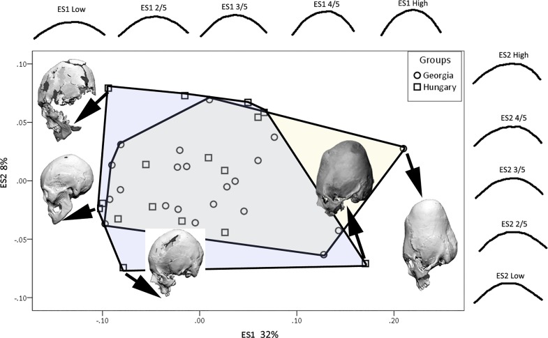 Fig 11
