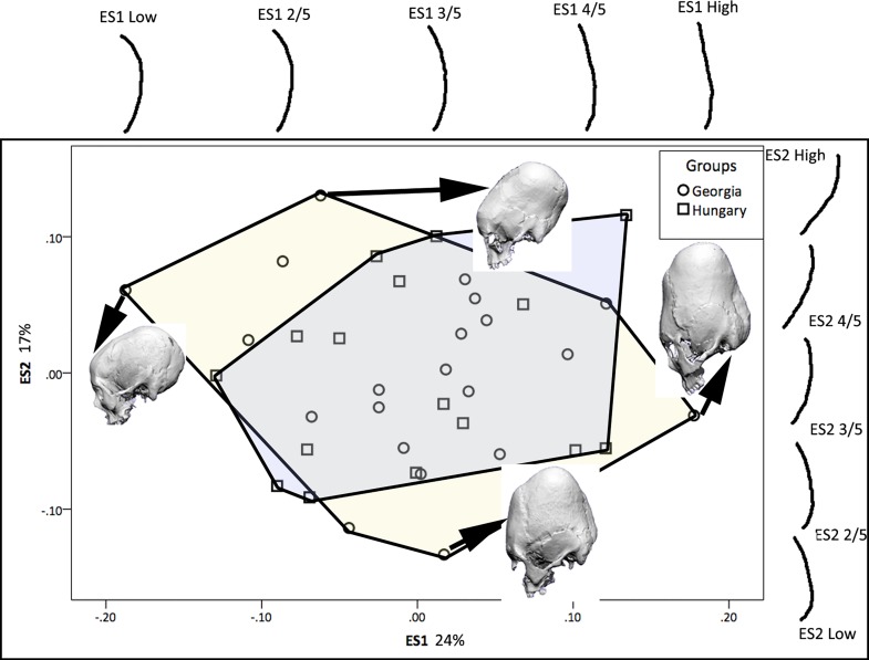 Fig 12