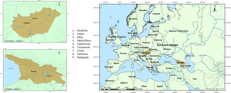 Fig 1