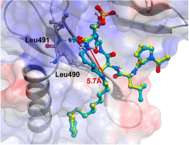 Figure 2.