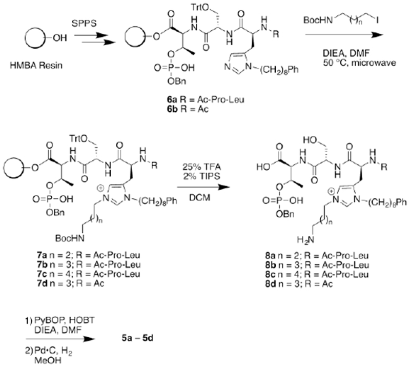 Scheme 1.