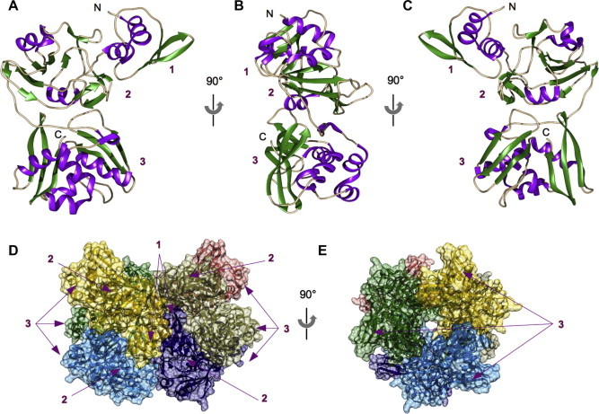 Fig. 3