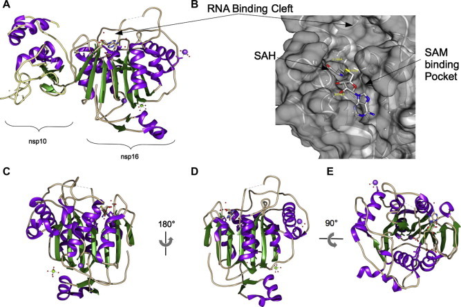 Fig. 4