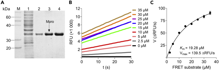 Figure 2