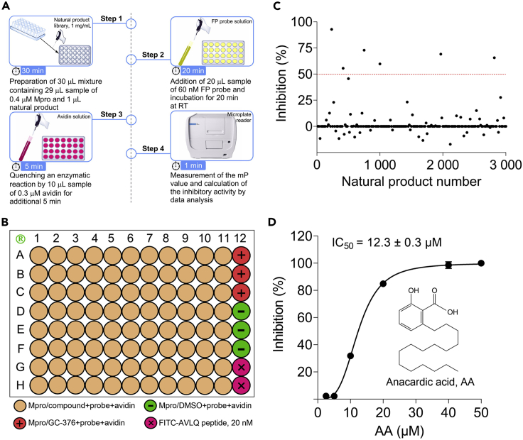 Figure 3