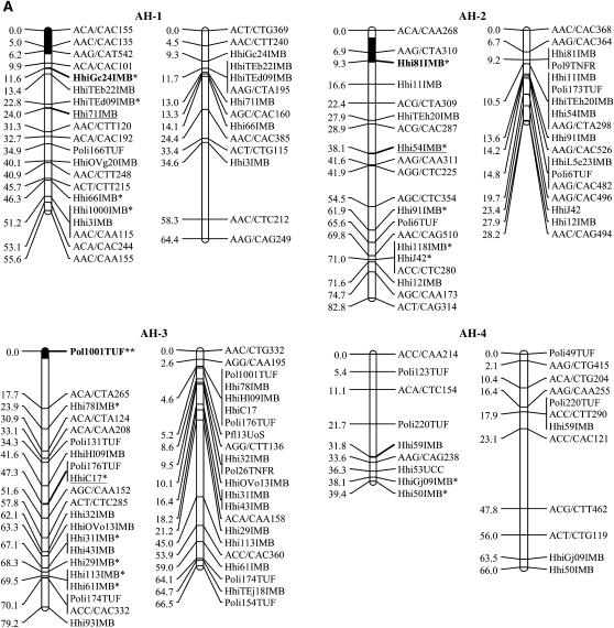 Figure 1.—