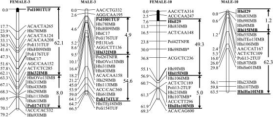 Figure 3.—