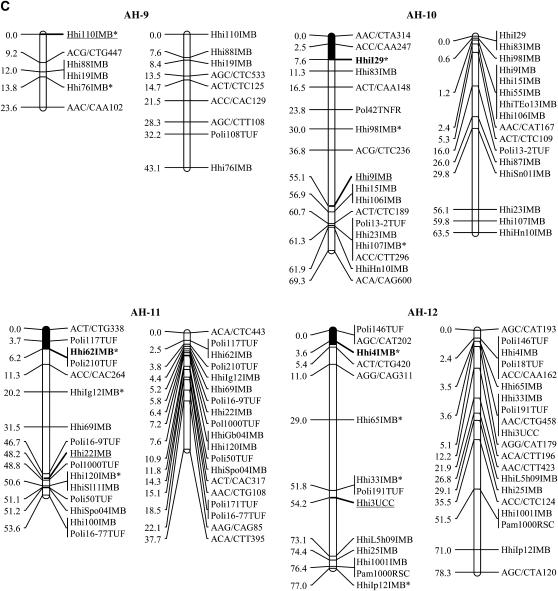 Figure 1.—