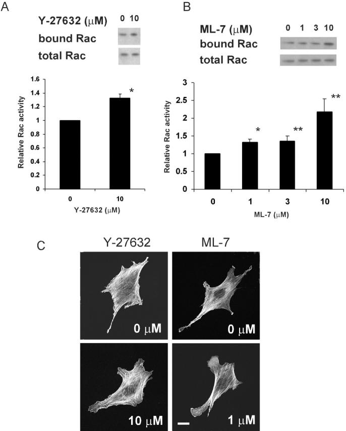 Figure 7.