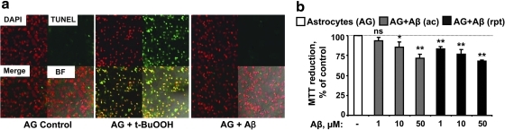 FIG. 8.