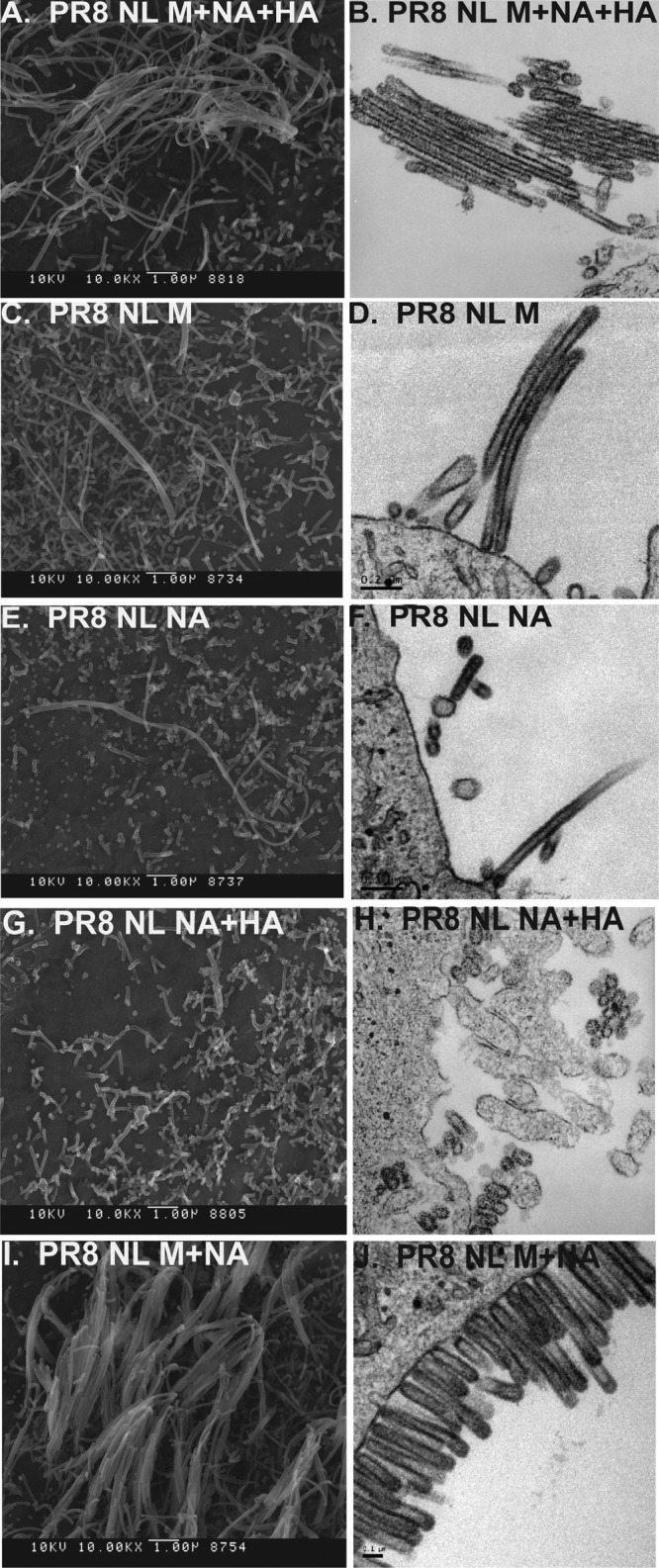 FIG 6