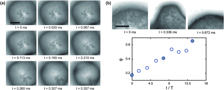 Fig. 6