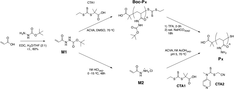 Scheme 1