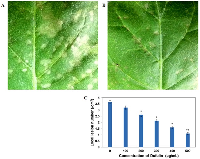 Figure 12