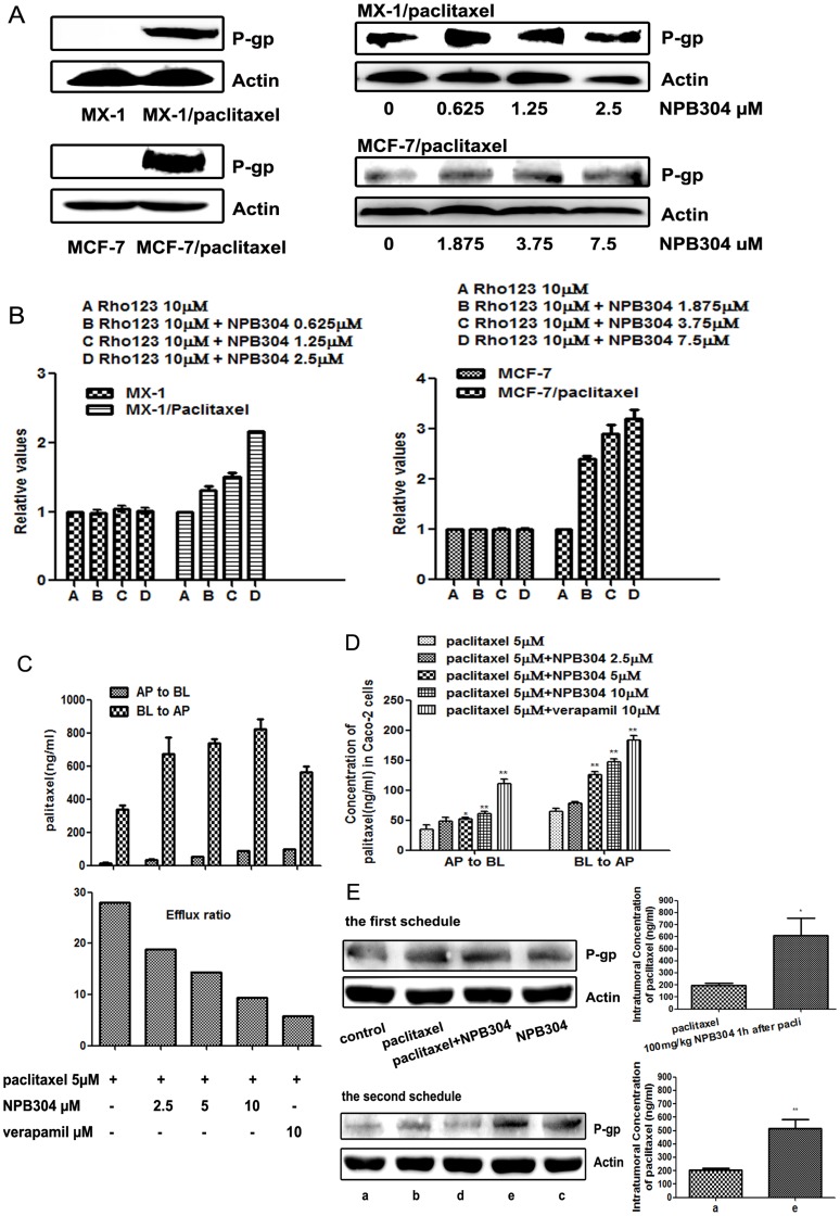 Figure 6