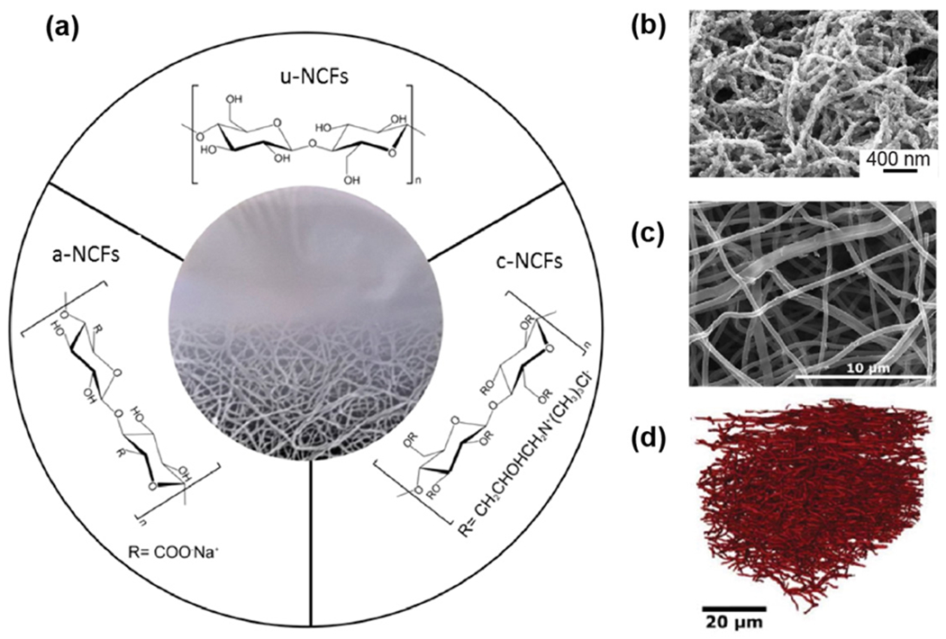 Figure 29.