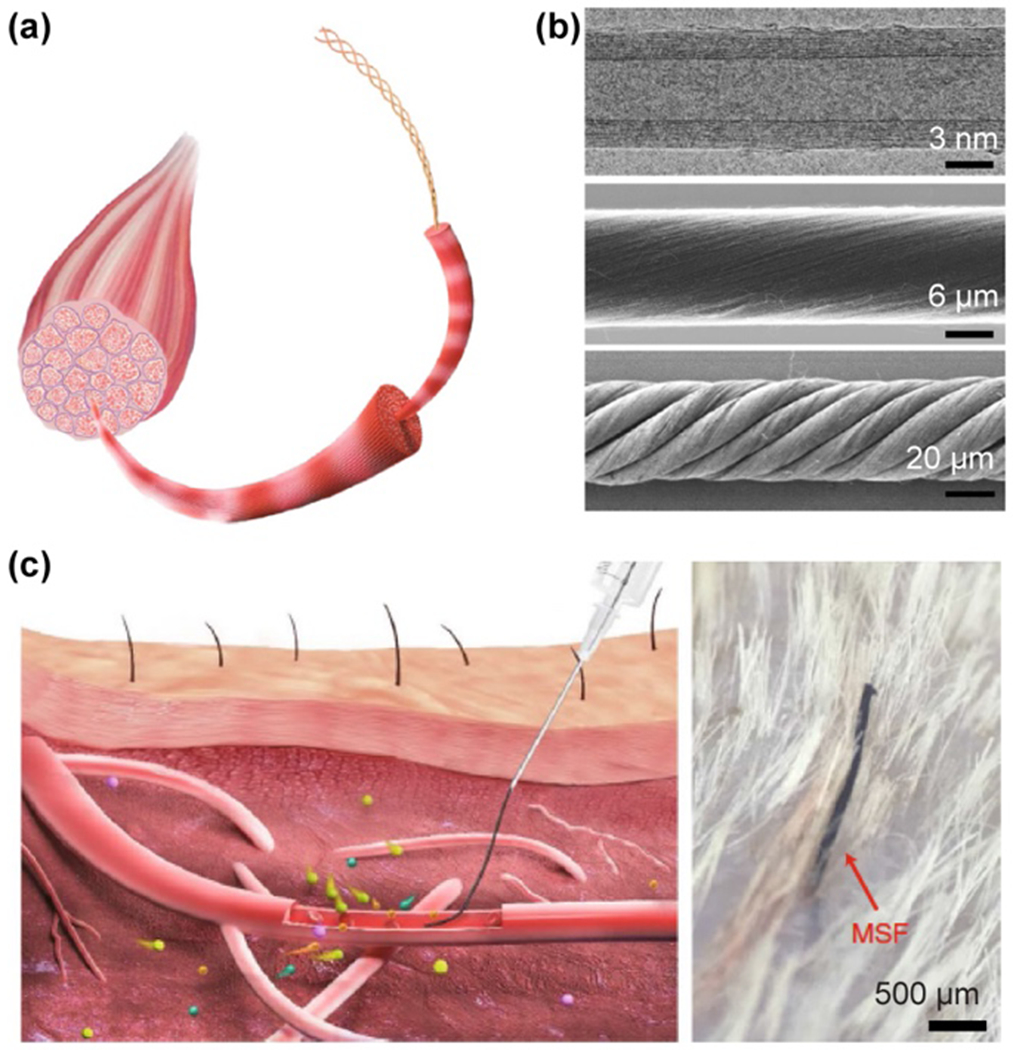 Figure 16.