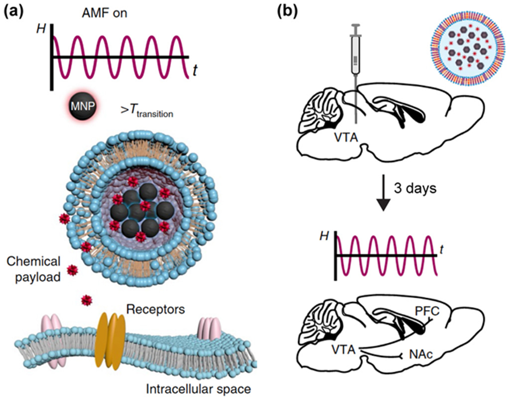 Figure 26.