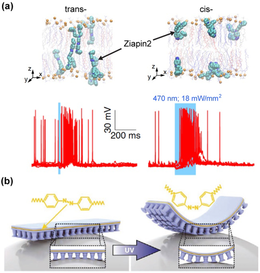 Figure 24.