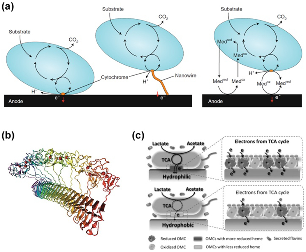 Figure 28.