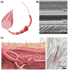 Figure 16.