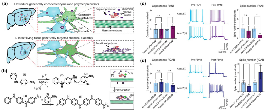 Figure 22.