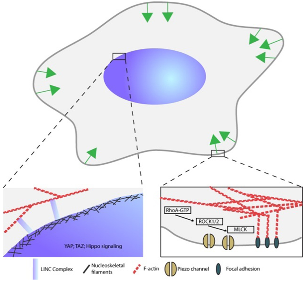 Figure 23.