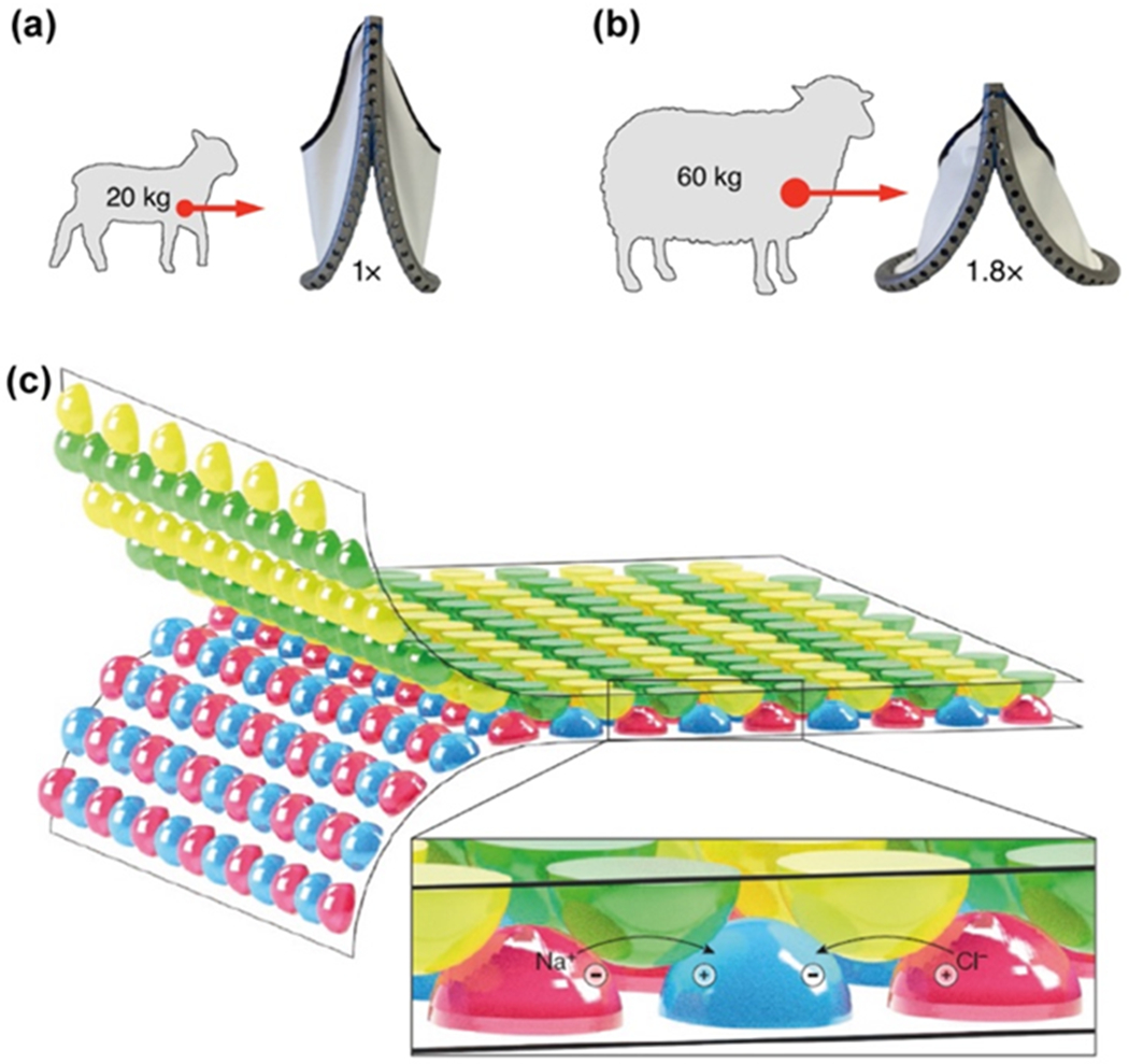 Figure 27.