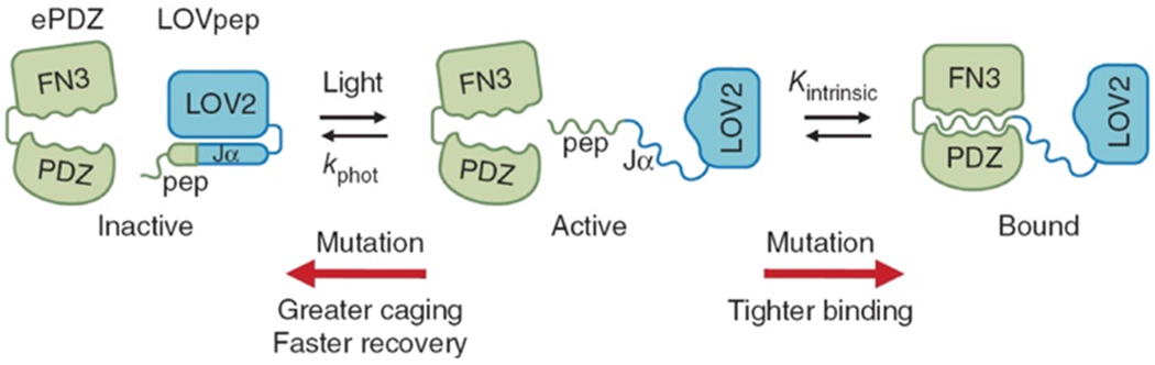 Figure 25.