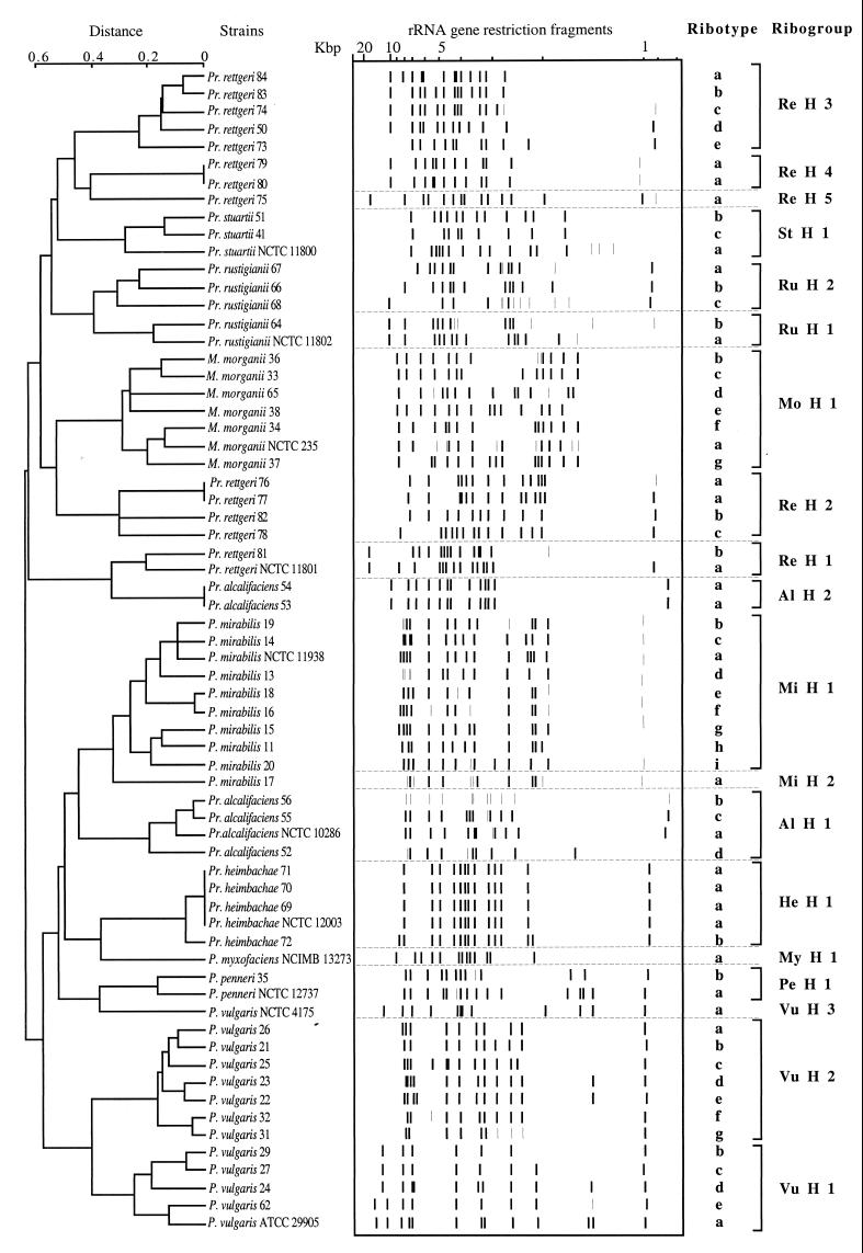 FIG. 6