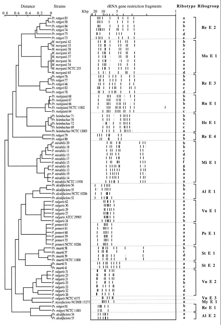 FIG. 5