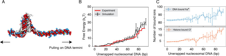 Figure 2: