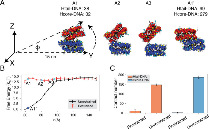 Figure 4: