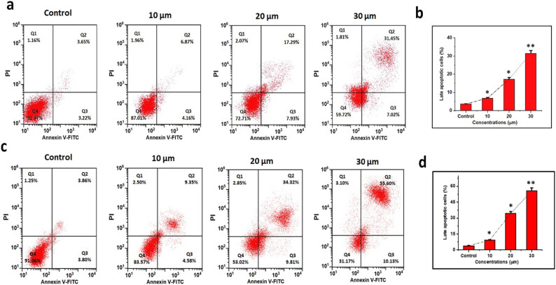 Figure 12