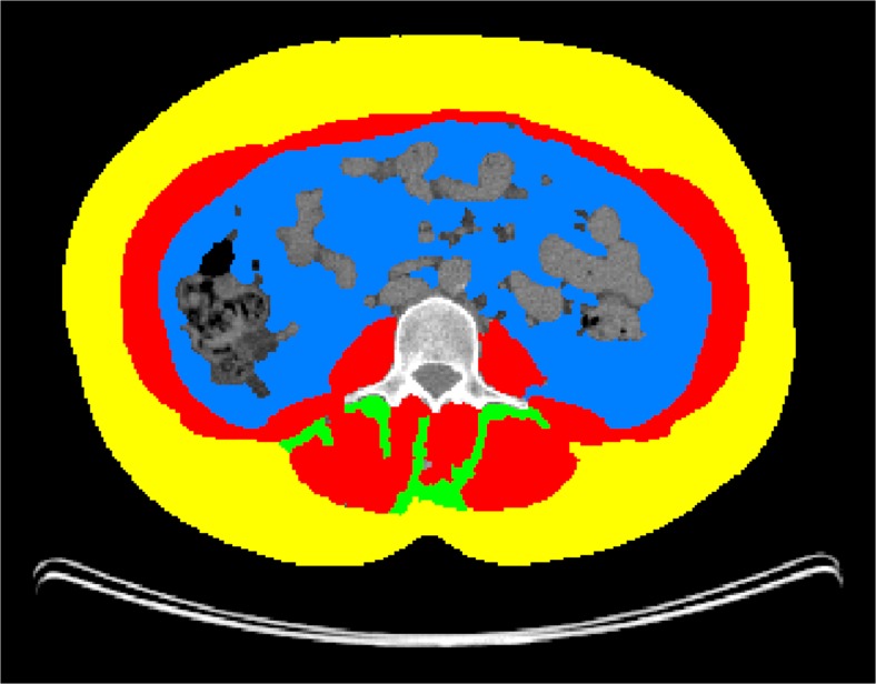 Fig. 1