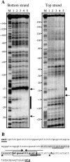 FIG. 5.