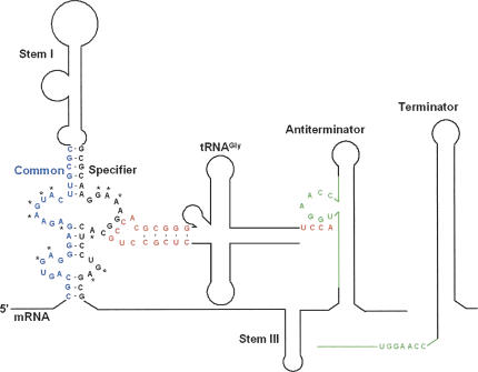 FIGURE 1.