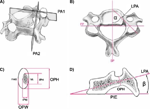 Fig. 1