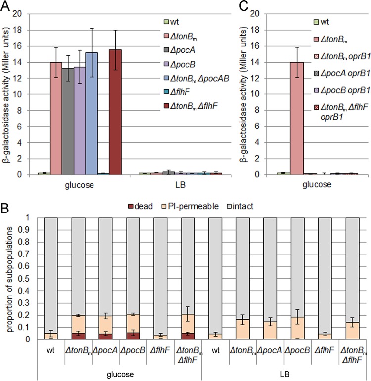 FIG 2