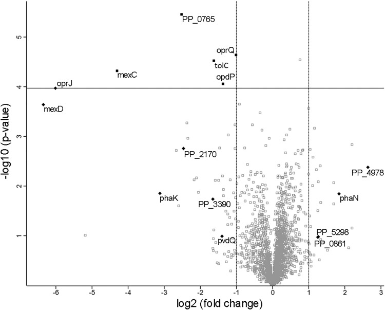 FIG 5