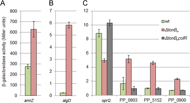 FIG 8