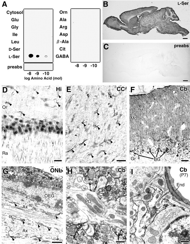 Fig. 9.