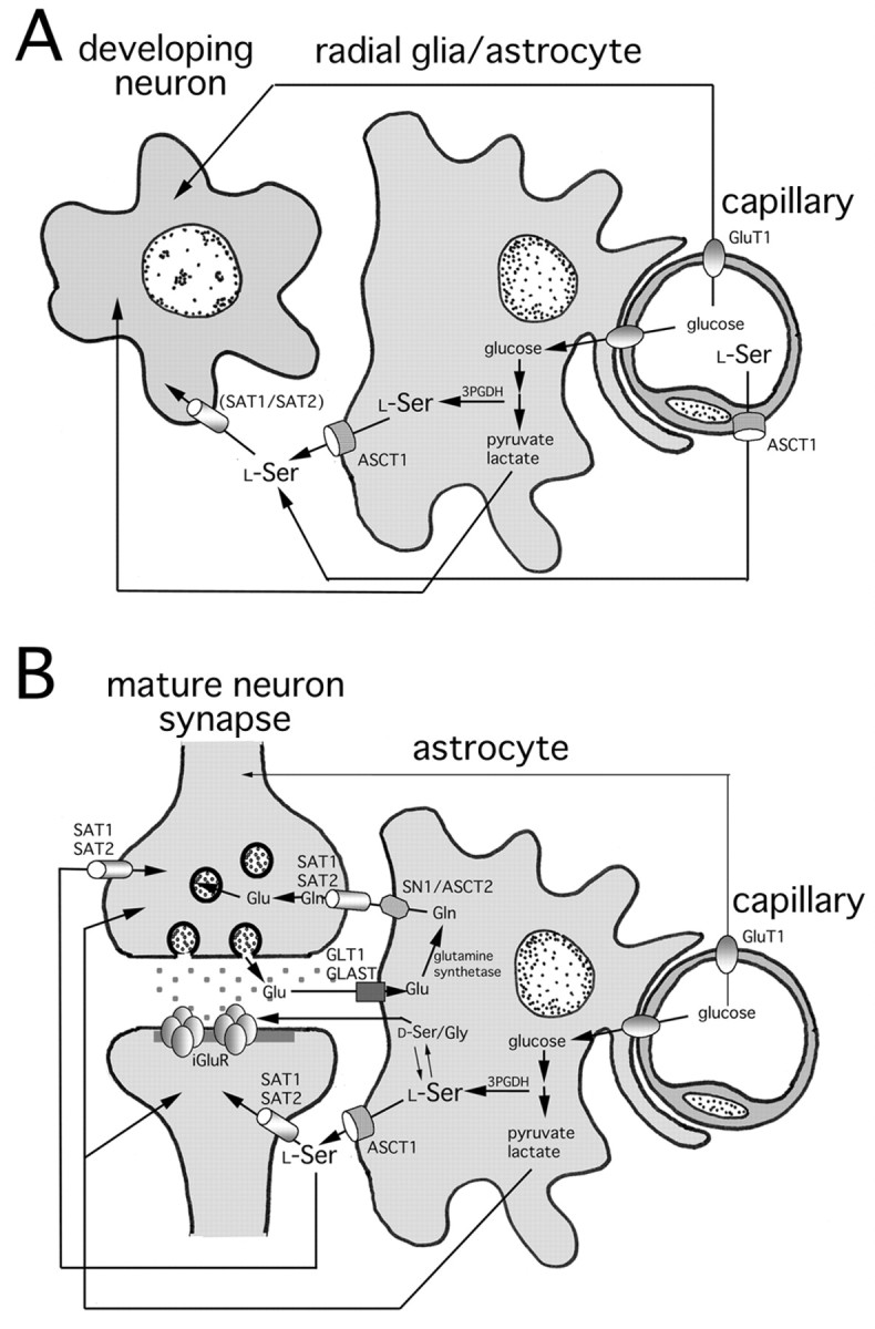 Fig. 10.