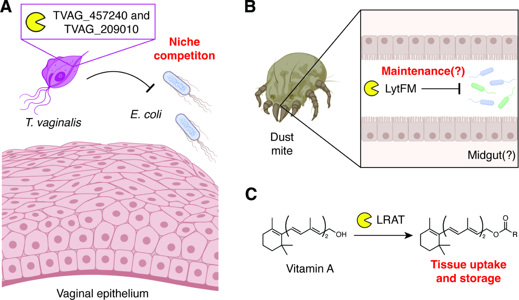 Figure 7.