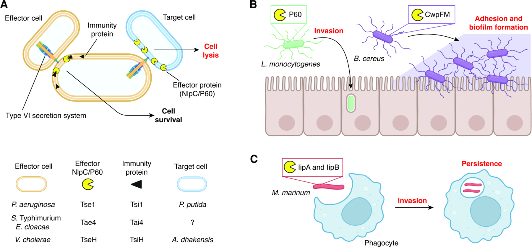 Figure 4.