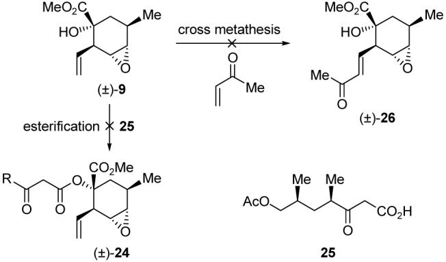 Scheme 3