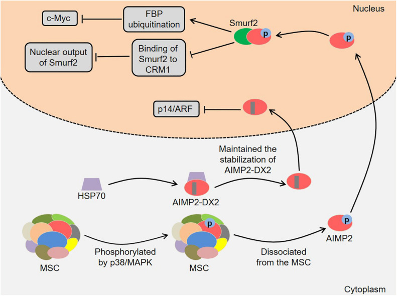 FIGURE 3