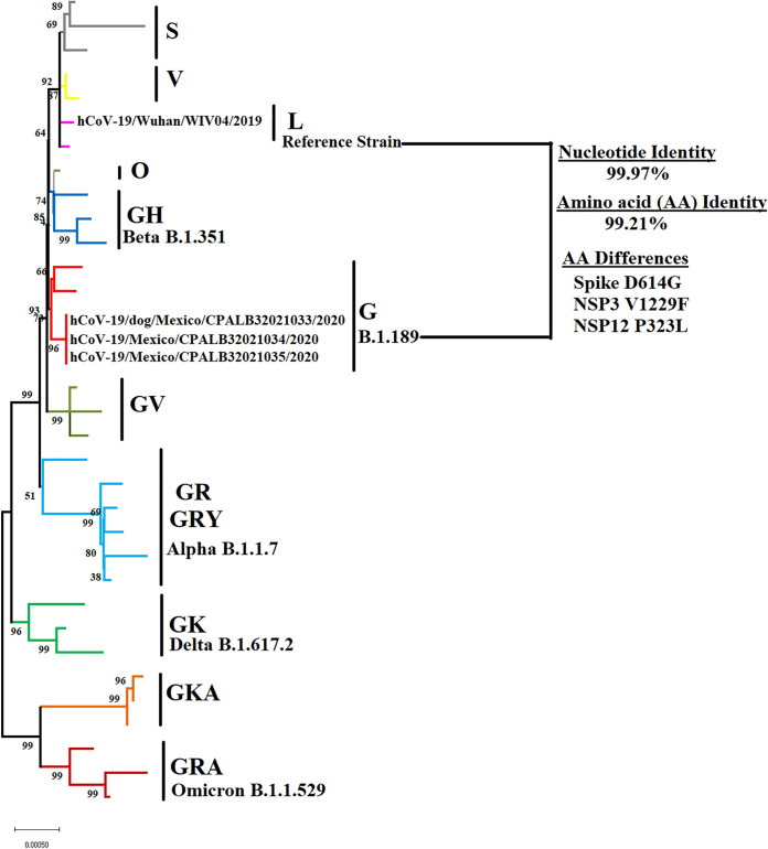 FIG 1