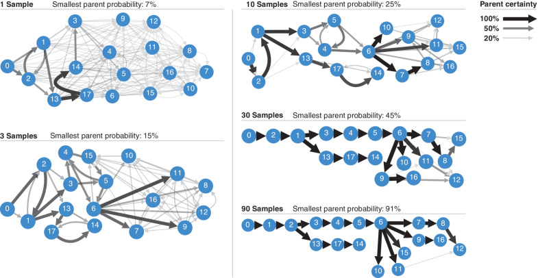 Figure 6. Consensus graph visualization of posterior tree distributions. These consensus graph visualizations are based on one of the 14 B-ALL cancers analyzed with Pairtree, for which 90 cancer samples were available. Consensus graphs are shown for variable numbers of samples, ranging from a single sample to all 90. All edges with less than 5% posterior probability are hidden. The minimum spanning tree certainty is the minimum of the maximum parent probabilities of each subclone.